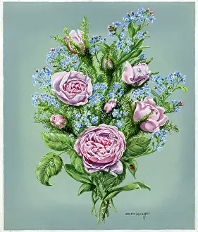 Pink Roses and Forget-me-not