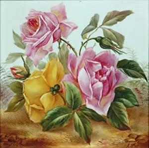 Copeland: Two pink roses and yellow rose with bud