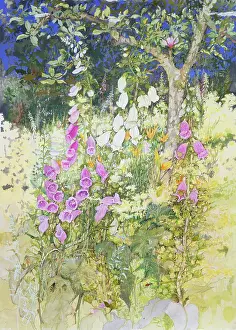 Magnolia: Pink and White Foxgloves