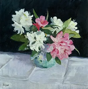 Rhododendrons: Pink and White Rhododendrons in a Vase