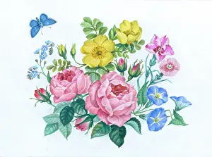 Nots: Pink and Yellow Roses, Morning Glory etc