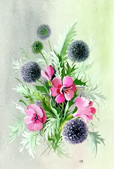 Thistles: Pinks and Globe Thistles