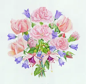 Pinks: Pinks and Roses - including fuchsias, carnations and bluebel