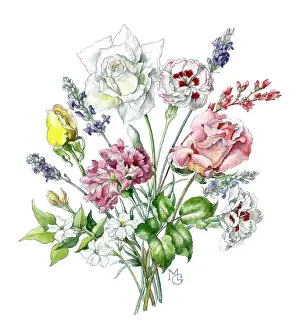 Jasmine: Pinks, Roses, Jasmine and Lavender
