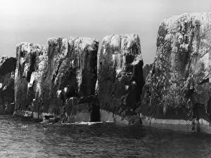 Pinnacles: THE PINNACLES