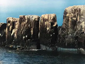 Pinnacles: THE PINNACLES