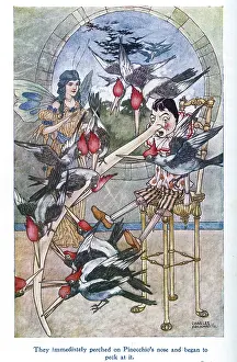 Pecking: Pinocchio -- birds pecking his nose