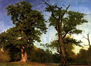 Bierstadt: Pioneers of the Woods