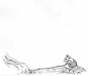 Woodmouse: Pip Squeak Sets Sail