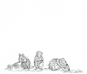 Squeak: Pip Squeak and the Thieves