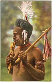 Tassle: Pipe Player of the Solomon Islands