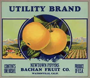 Pippin: Pippin Apple Label