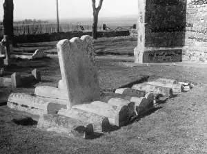 Pips: PIP'S SIBLINGS GRAVES