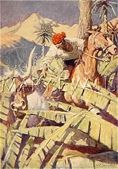 Ranches: PIRATES RAID RANCHES