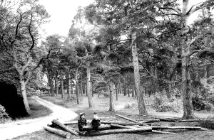 Pirbright: Pirbright, Admirals Walk 1908