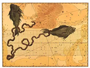 Representations: Pisces