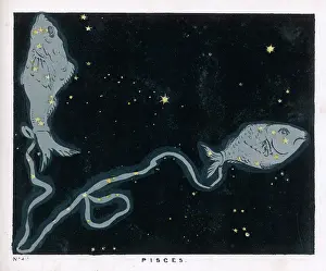 Pisces: PISCES CONSTELLATION