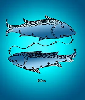 Poeticon: Pisces Constellation, Zodiac Sign, 1482