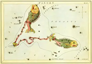 Tarot: Pisces, the Fish