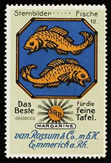 Rossum: PISCES (ROSSUM)