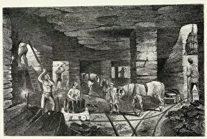 Bilston: Pit Ponies - 1853