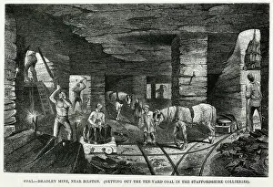 Collieries: Pit Ponies - 1853