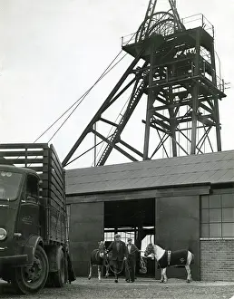 Cannock: PIT PONIES MID-CANNOCK