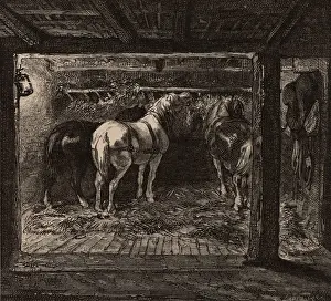 1869: Pit ponies in their underground stable in a coal mine