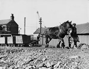 Blinkered: PIT PONY PULLING COAL
