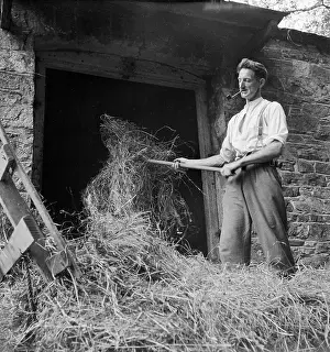 Ferrers: Pitching Hay