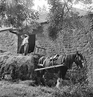 Pitching: Pitching Hay