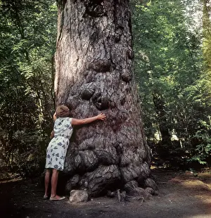 Kunov: Pitsunda, 1972