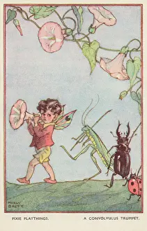 Molly Brett (peter Cope): Pixie Playthings - A Convolvulus Trumpet