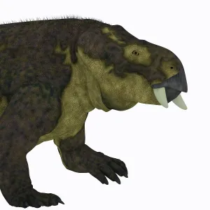 Dicynodont: Placerias dinosaur portrait