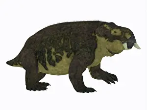 Dicynodont: Placerias dinosaur, side profile