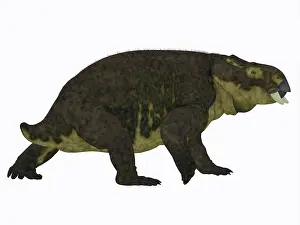 Dicynodont: Placerias dinosaur on white background