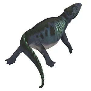 Placodus: Placodus aquatic reptile