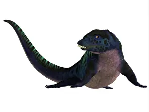 Placodus: Placodus aquatic reptile