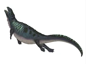 Placodus: Placodus aquatic reptile, side profile