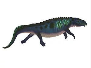 Triassic: Placodus prehistoric reptile, side view on on