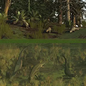 Searching: Placodus reptiles rest on shore and dive for food