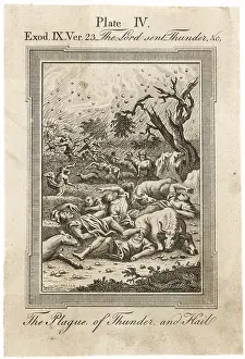 Plagues: THE PLAGUE OF HAIL