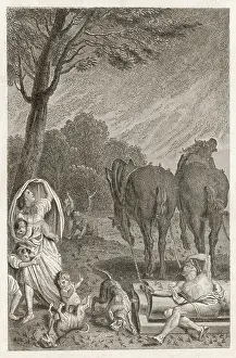 Locusts: PLAGUE OF LOCUSTS