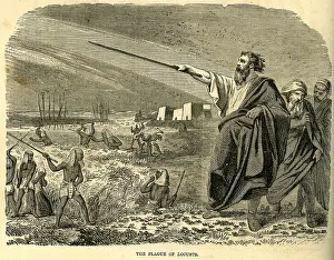 Locusts: Plague of Locusts - Egypt
