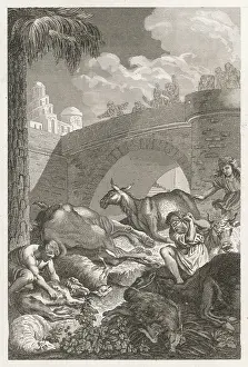 Plagues: PLAGUE OF MURRAIN