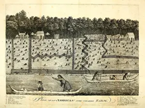 Homesteader: Plan of an American New Cleared Farm. Detailed ?