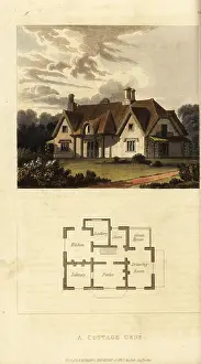 Parlors: Plan and elevation of a Regency thatched cottage