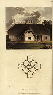 Bedlam: Plan and elevation of a Regency thatched cottage