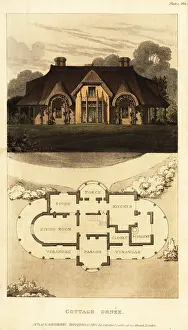Perfumery: Plan and elevation for a thatched cottage