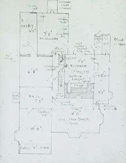 Louse: Plan of frog pool